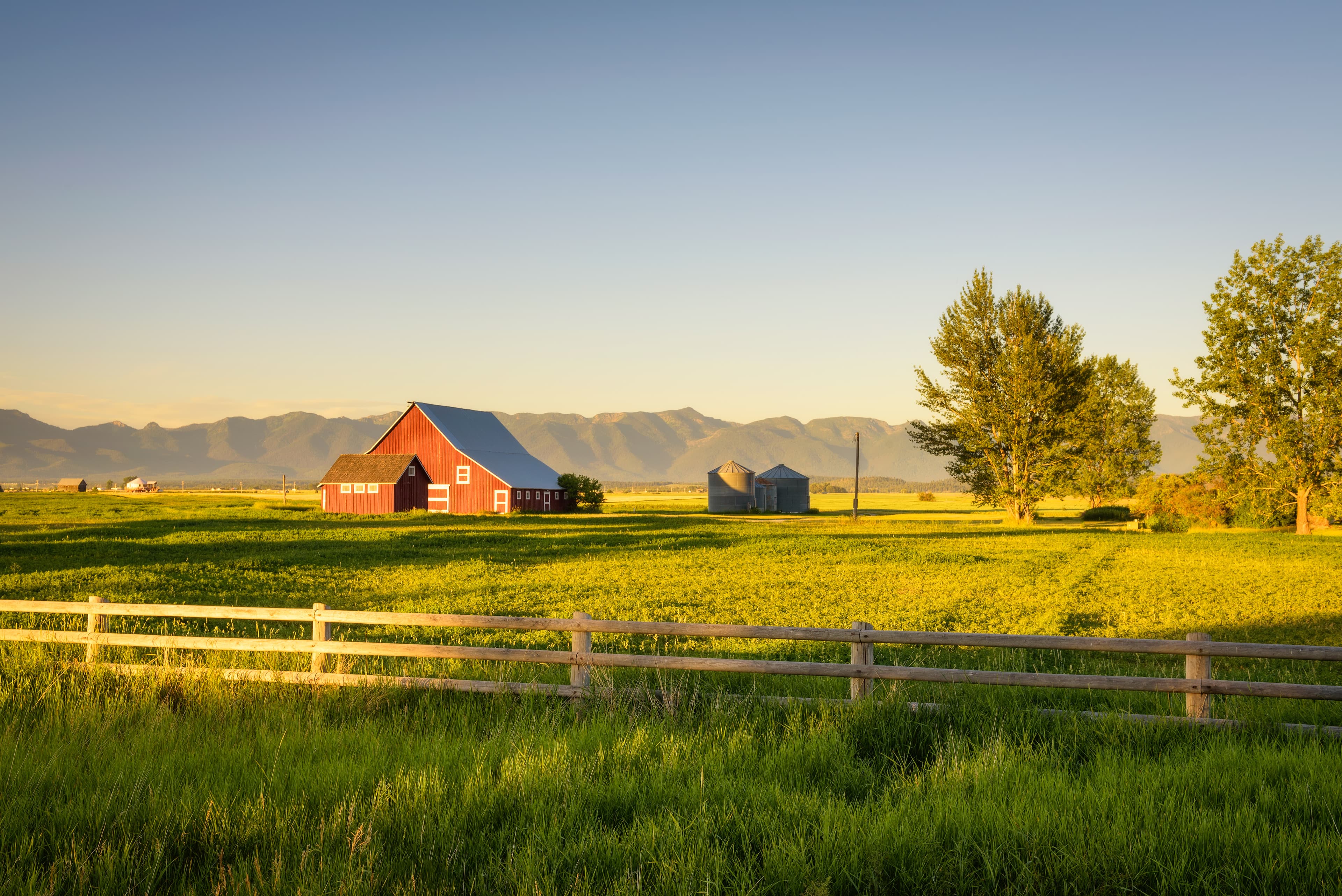 Golden Valley Farm
