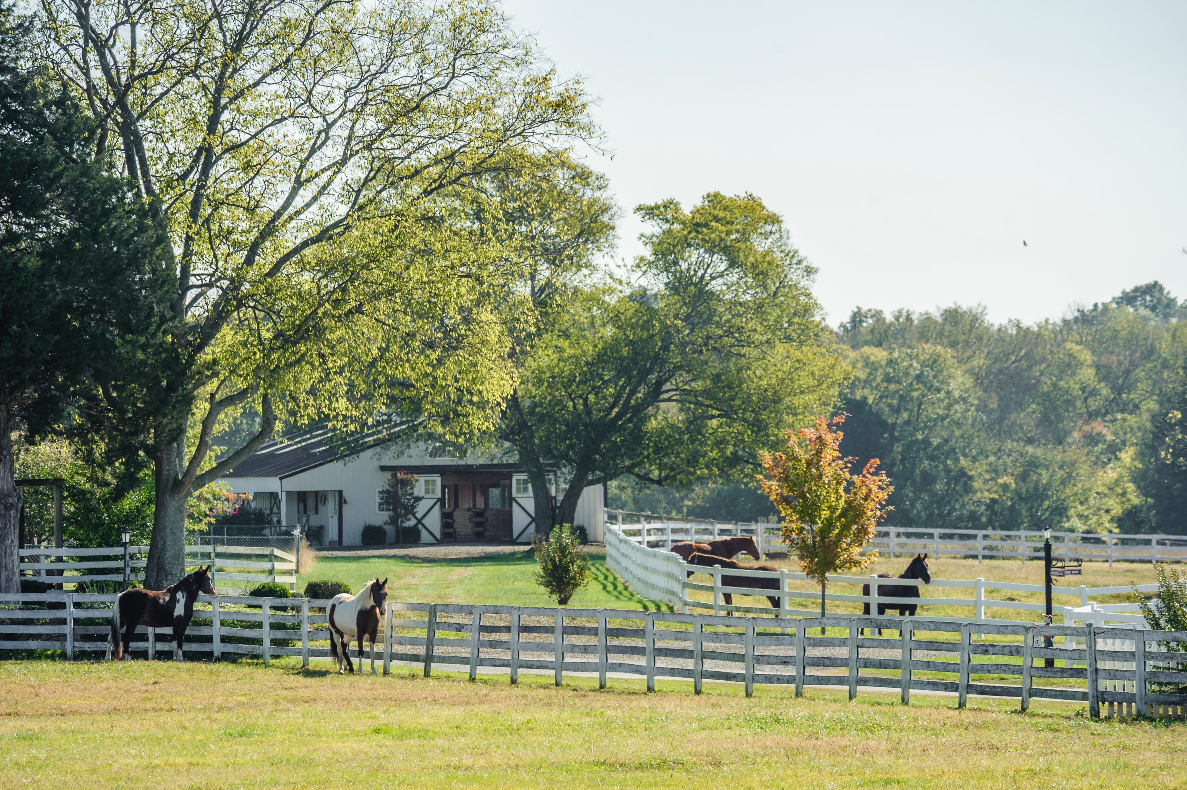 Oakridge Horse Estate